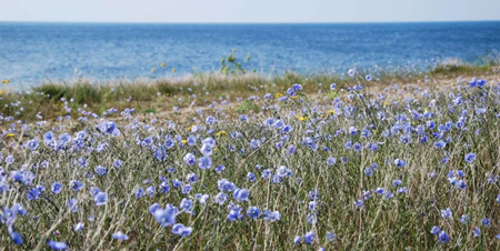 1588831082107607.jpg 3_副本.jpg